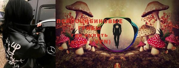 марихуана Зеленокумск