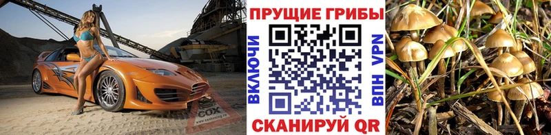 Купить где  Балахна  Галлюциногенные грибы GOLDEN TEACHER 